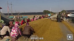 <b>今日驻马店--驻马店旧事--广视网</b>